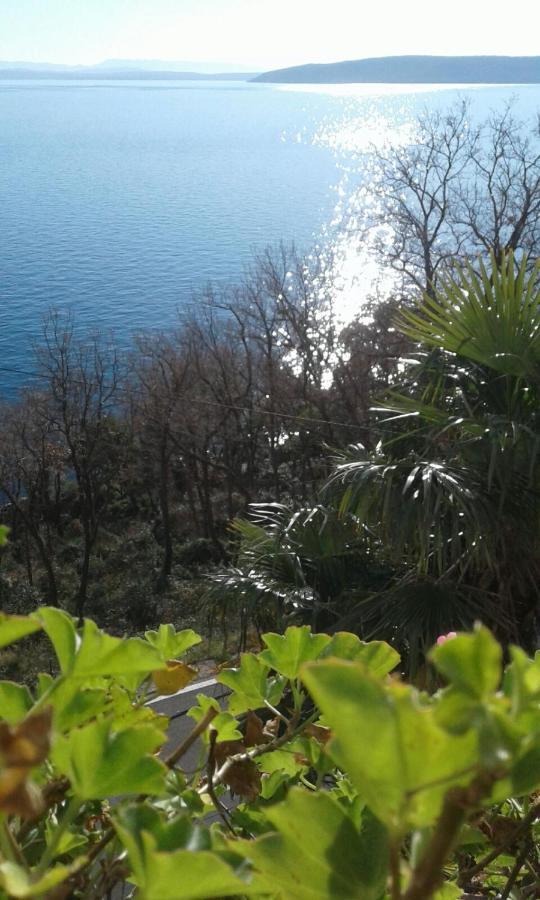 Kvarner Apartments II - Mošćenička Draga エクステリア 写真